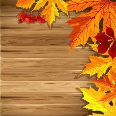 Free download Autumn Harvest backgrounds vector 05. File format 