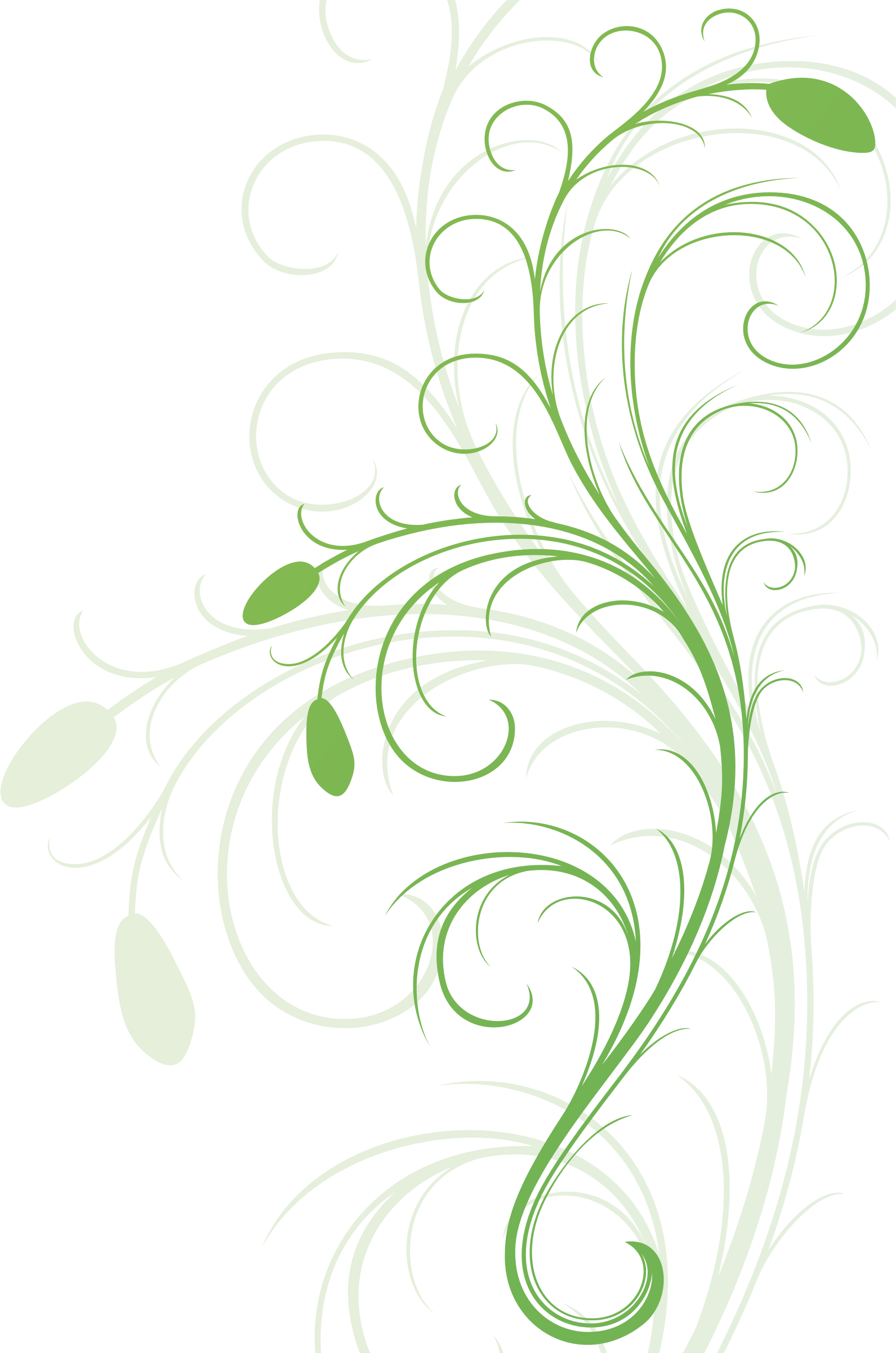 Free Floral Flourish Cliparts, Download Free Clip Art, Free Clip Art on