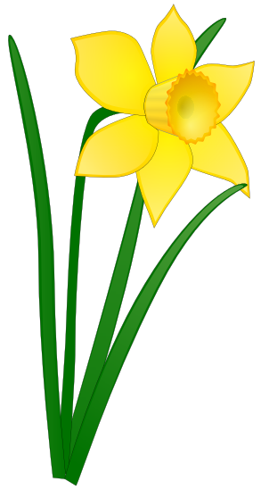 Free Easter Lily And Daffodil Clipart 