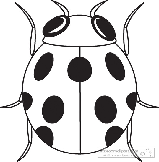 Ladybug outline clipart 