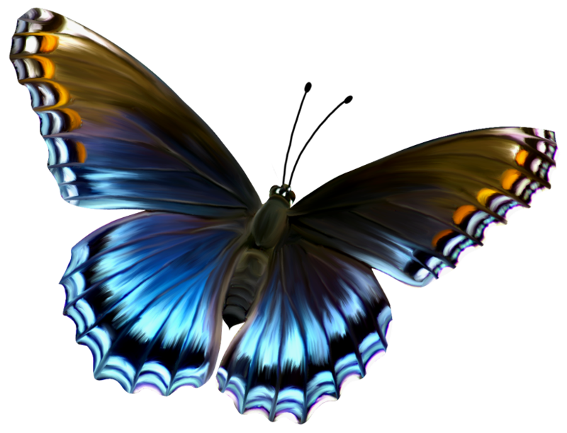 Free Real Butterfly Cliparts, Download Free Real Butterfly Cliparts Png ...