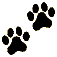 Dog paw prints clip art 
