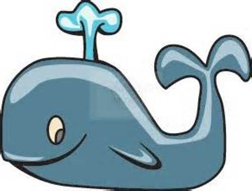 Cartoon whale clipart 