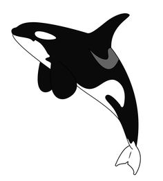 Orca Whale Outline 