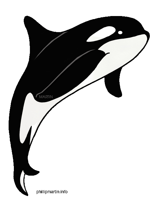 Orca Whale Outline 
