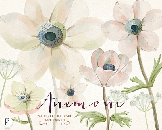 Free Anemone Flower Cliparts Download Free Clip Art Free Clip Art On Clipart Library