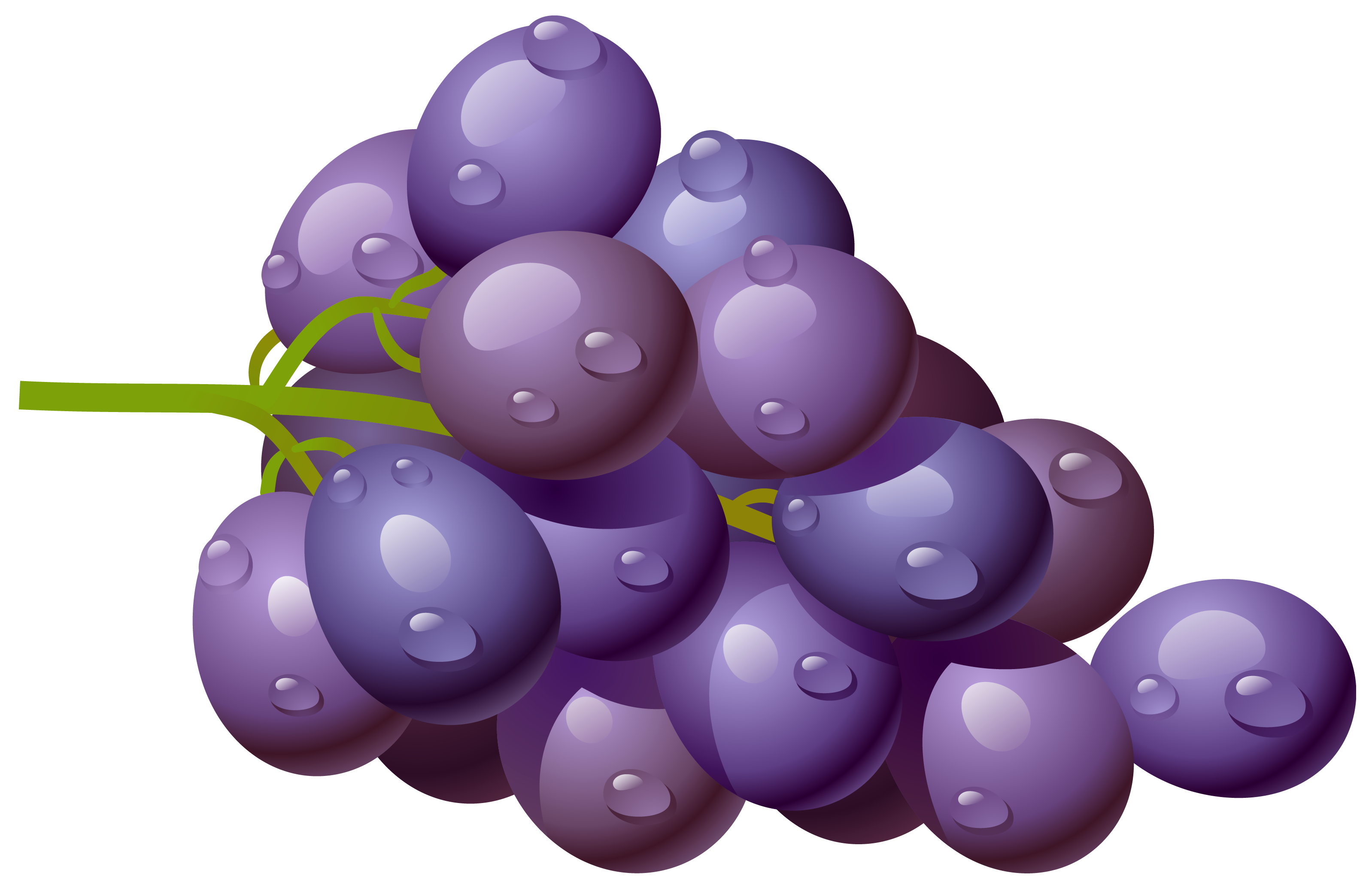 Free Purple Grapes Cliparts, Download Free Purple Grapes Cliparts png