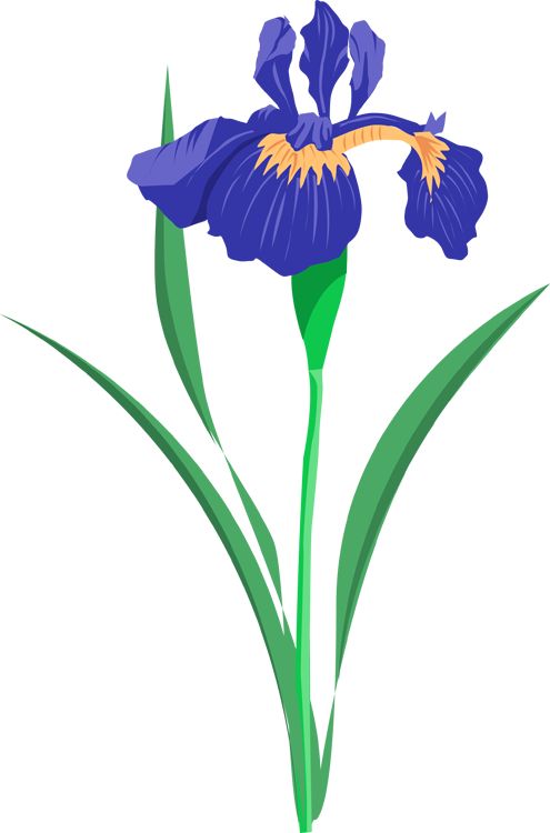 Grab This Free Summer Flower Clip Art 
