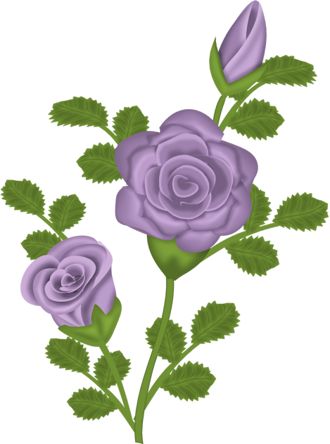 Purple_Rose_Transparent_Clipart.png?m=1367618400 