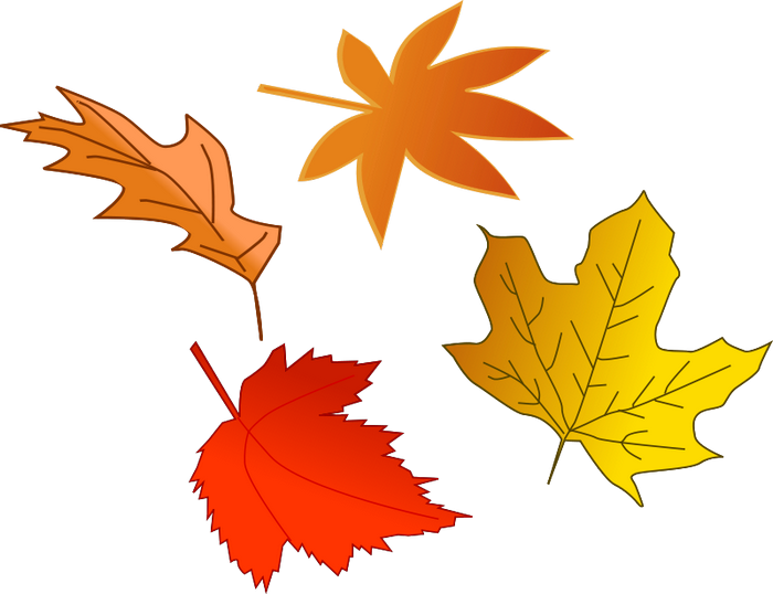 Fall Leaves Transparent Background Clipart 