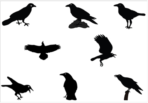 Raven free clipart silhouette 