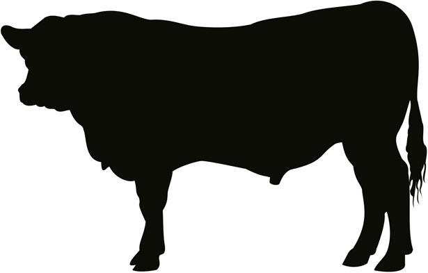 Black angus bull silhouette clipart 