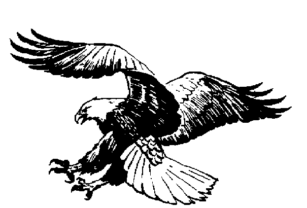 Flying Eagle Clipart 