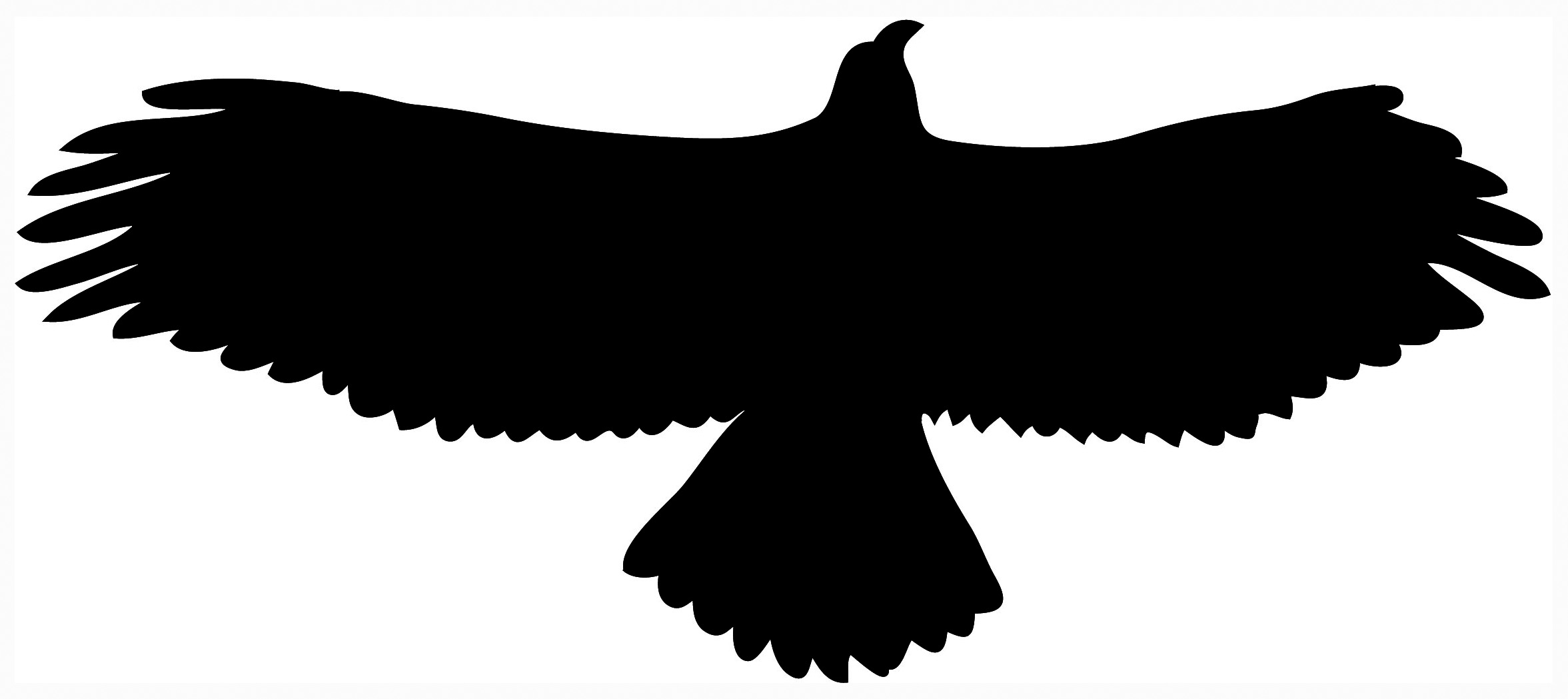 Flying Eagle Outline Clipart 