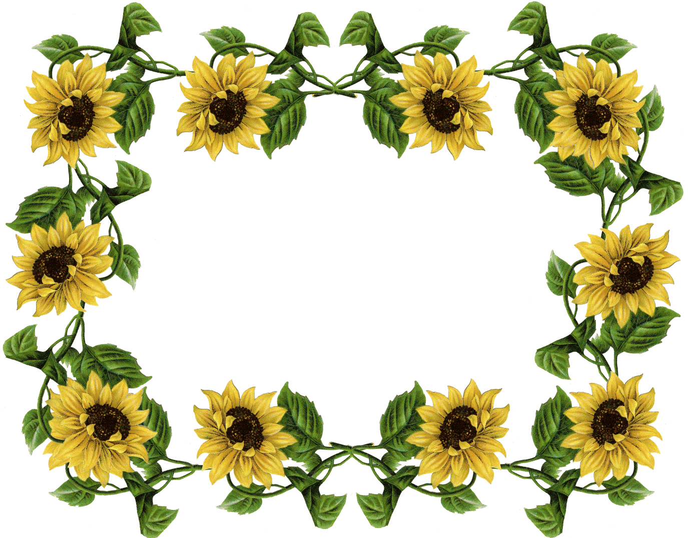 Sunflower Border Templates Free Download
