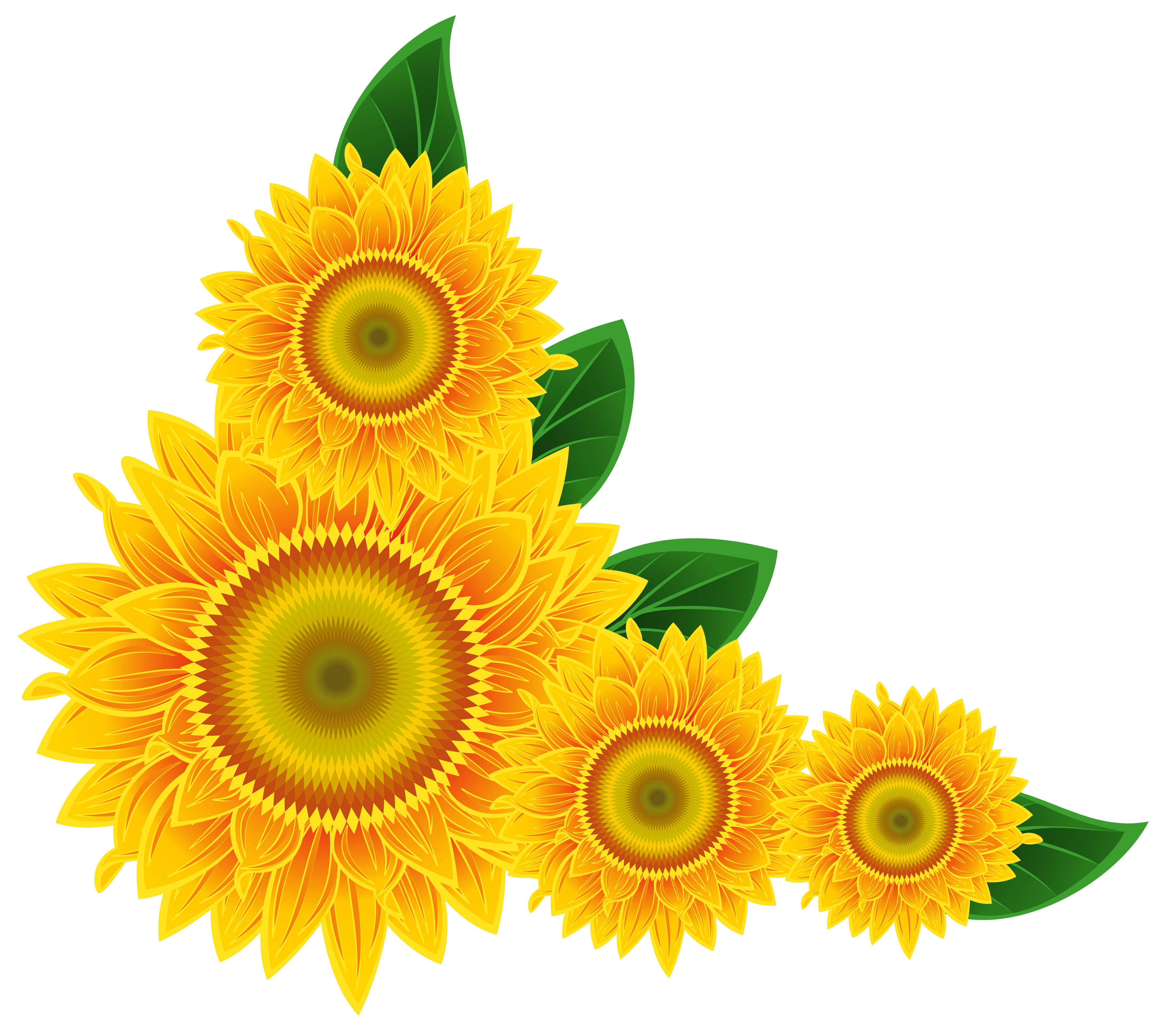 Sunflower Corner Decoration PNG Clipart Image 