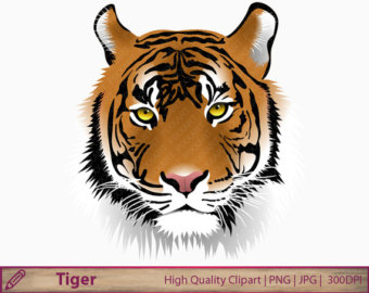 Tiger clipart 