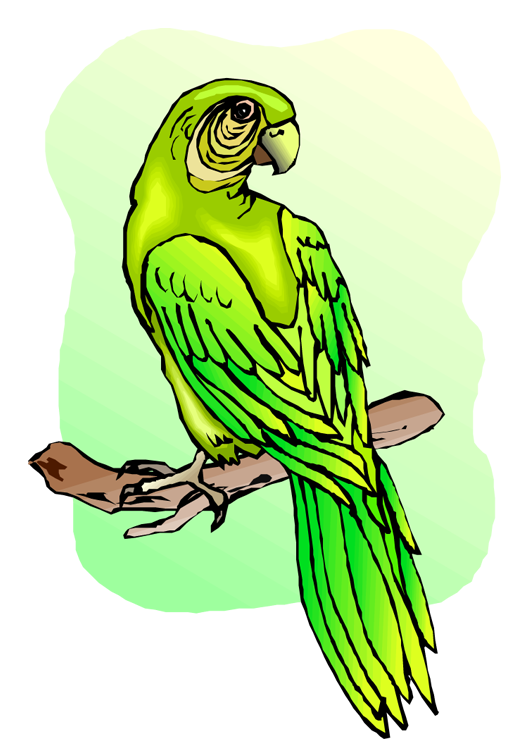 Free Parrot and Macaw Clipart 