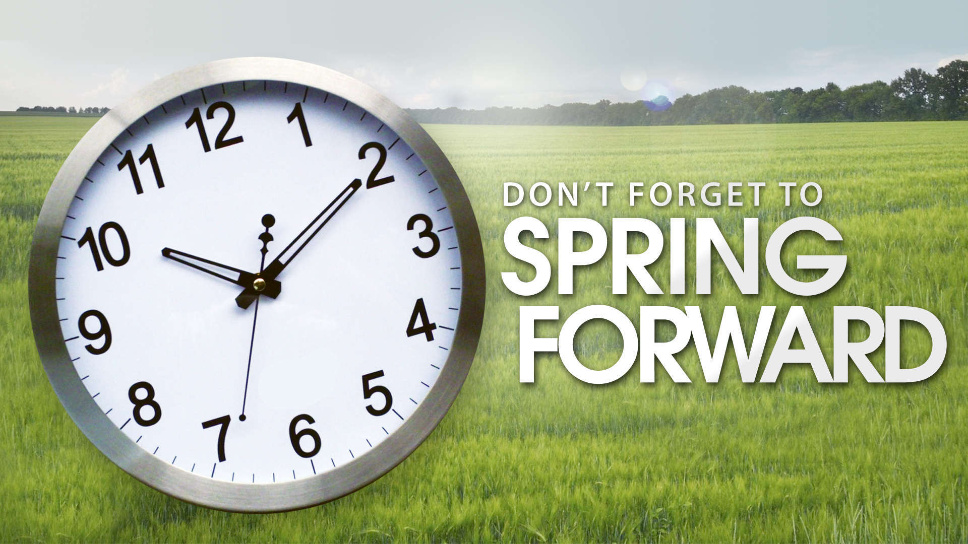 Free Spring Forward Cliparts, Download Free Spring Forward Cliparts png