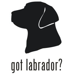 Labrador retriever head clipart 