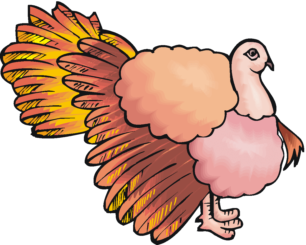 Pretty Turkey Clipart 