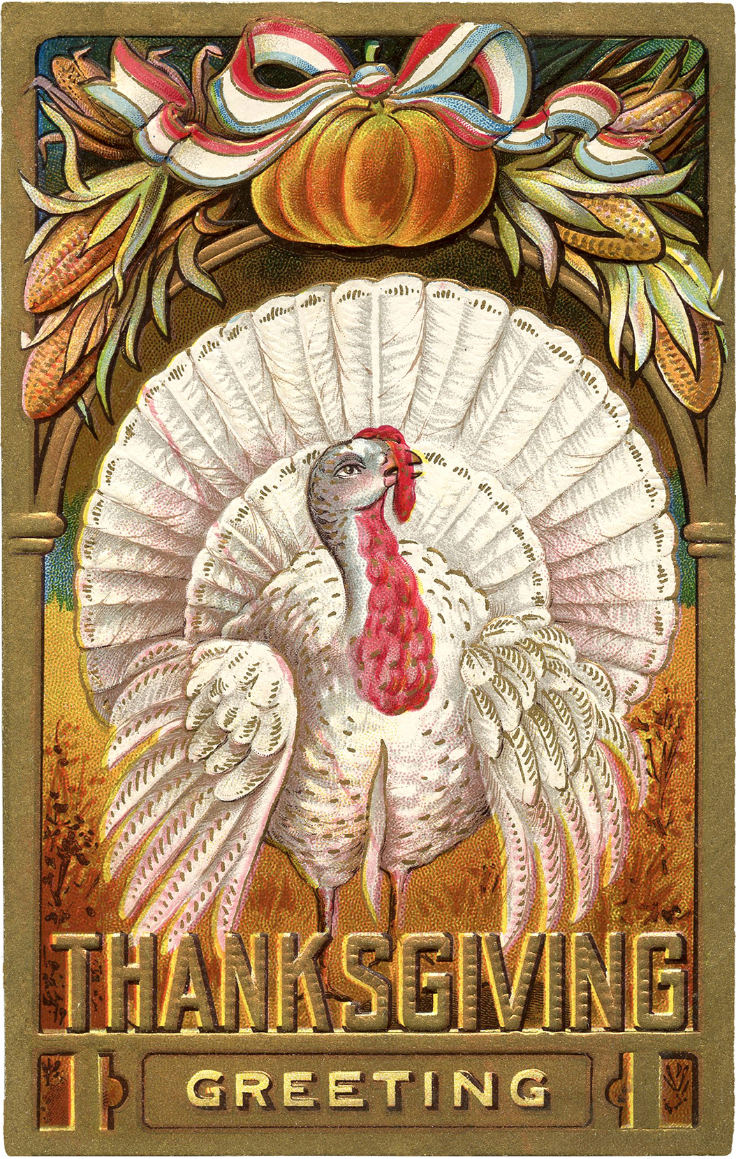 Pretty Turkey Clipart 
