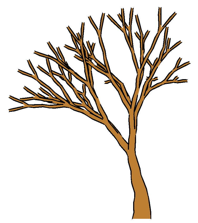 Tree Without Leaves Cartoon 