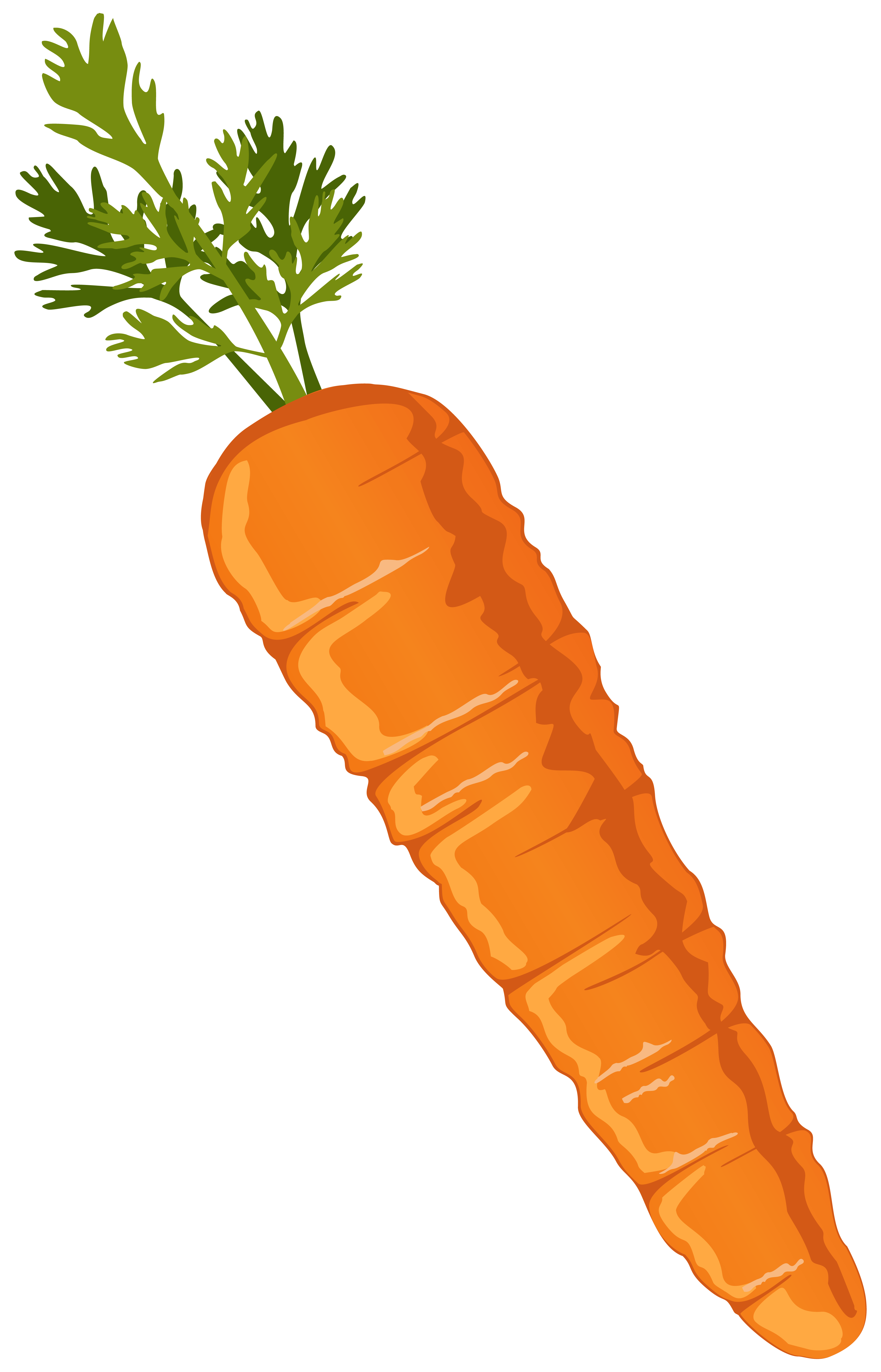 Clip art carrot 