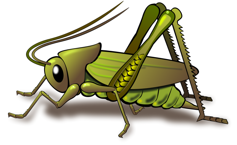 Cartoon animal clipart insects 