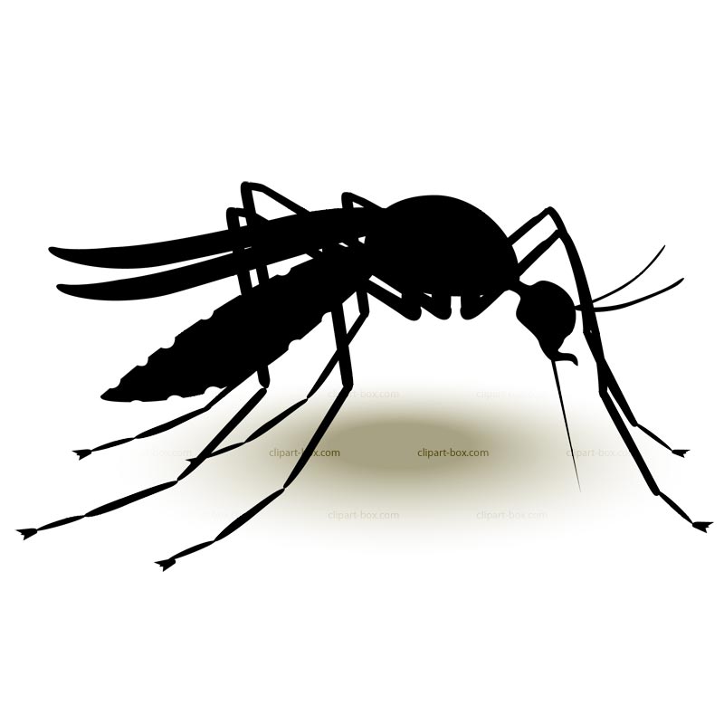 Mosquito Clipart 