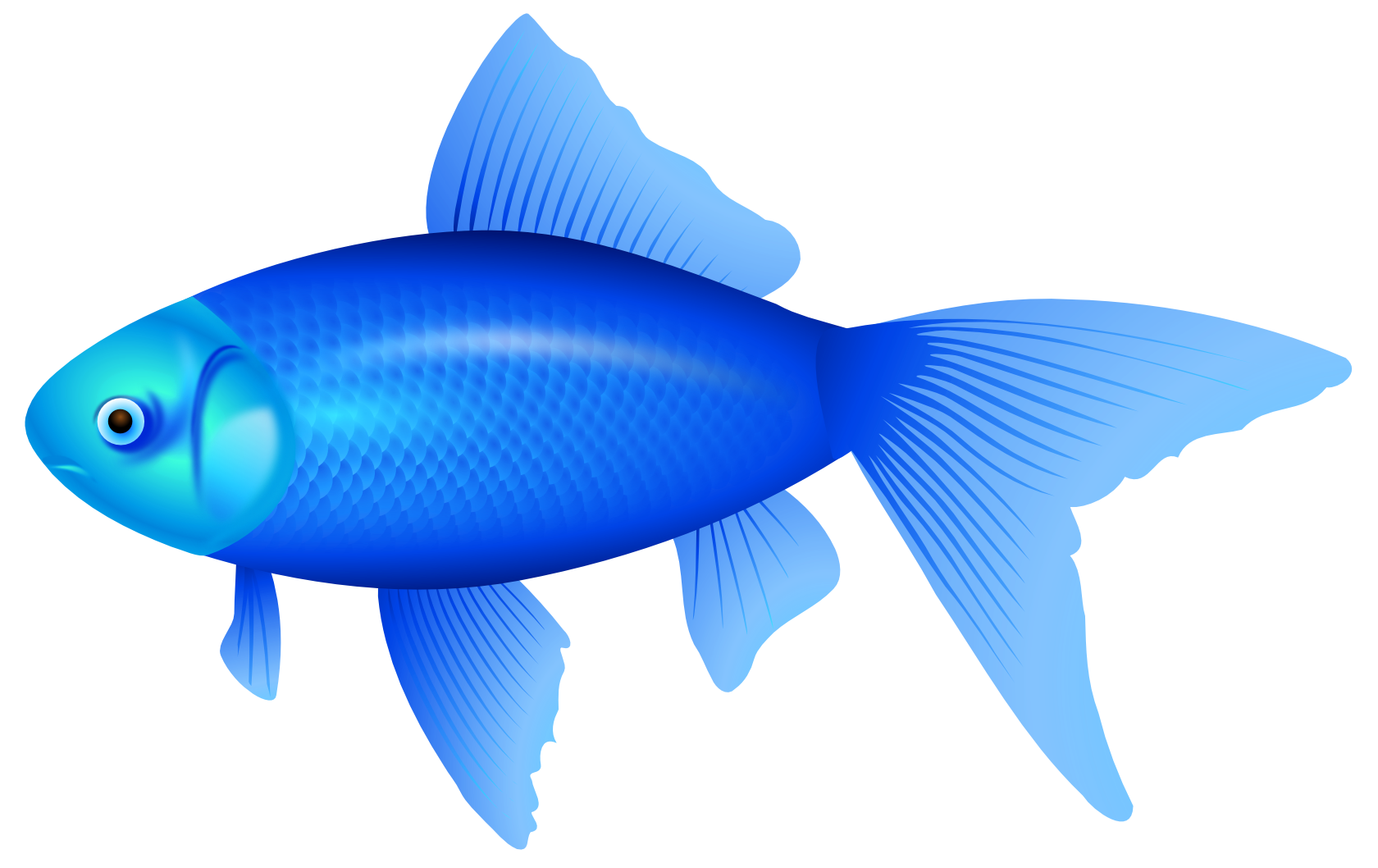 Best Blue Fish Clipart 