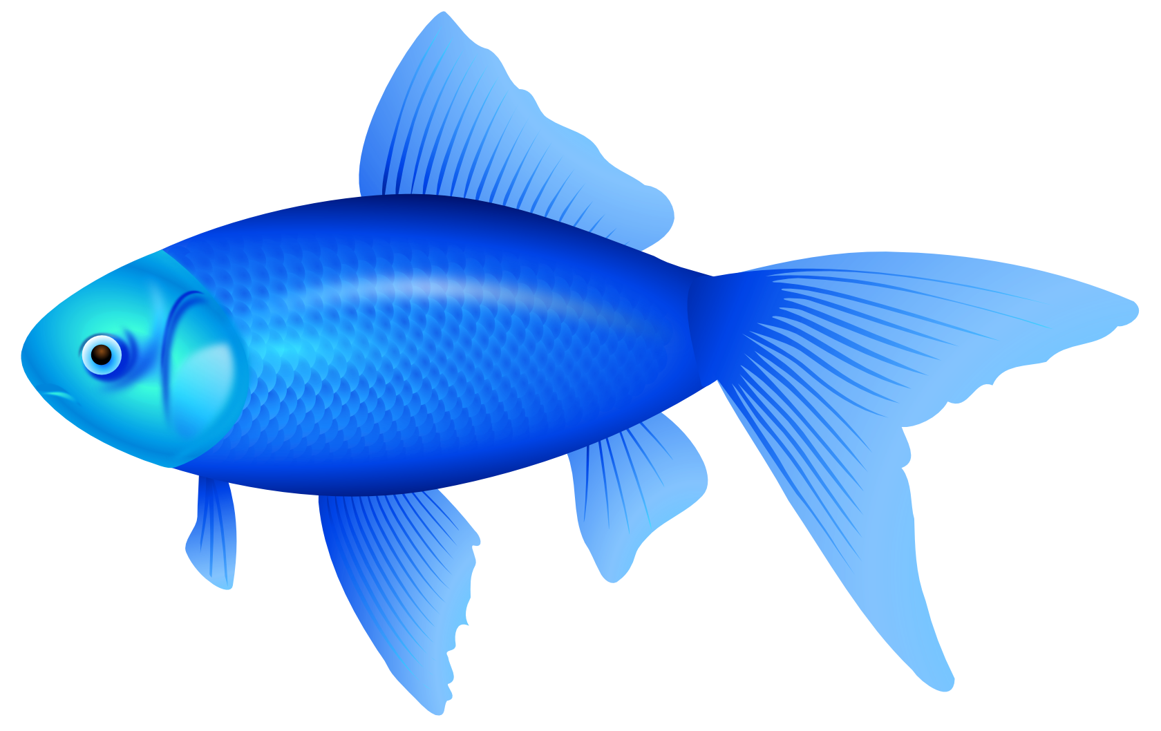 Free Blue Fish Cliparts Download Free Blue Fish Cliparts Png Images