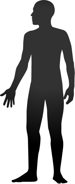 Human Body Silhouette Clipart 