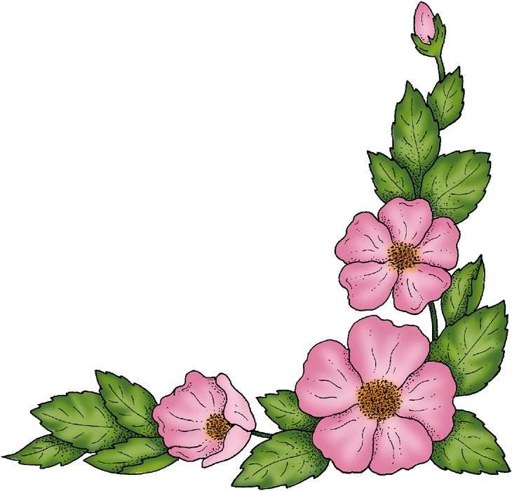 provoked clipart flower