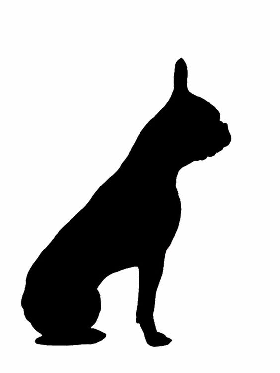 Silhouette, French bulldogs and Bulldogs 