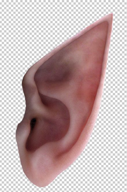 Elf Ears Transparent Clipart 