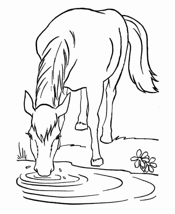 animal drinking for coloring - Clip Art Library