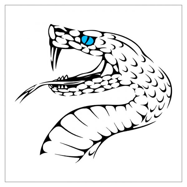 Free Snake Head Cliparts, Download Free Snake Head Cliparts png images