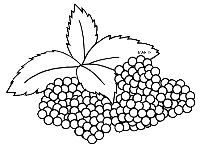 Blackberries clipart black and white – ciij 