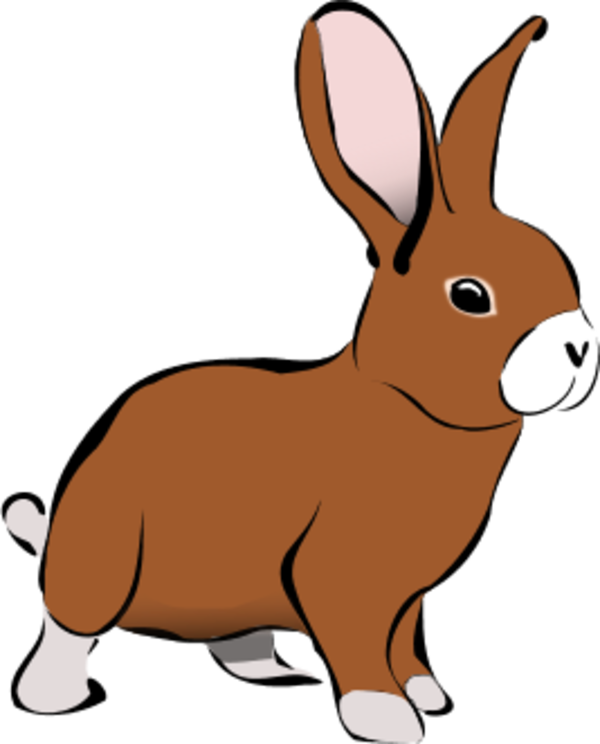 Free Rabbit Vector Png Download Free Rabbit Vector Png Png Images Free Cliparts On Clipart Library