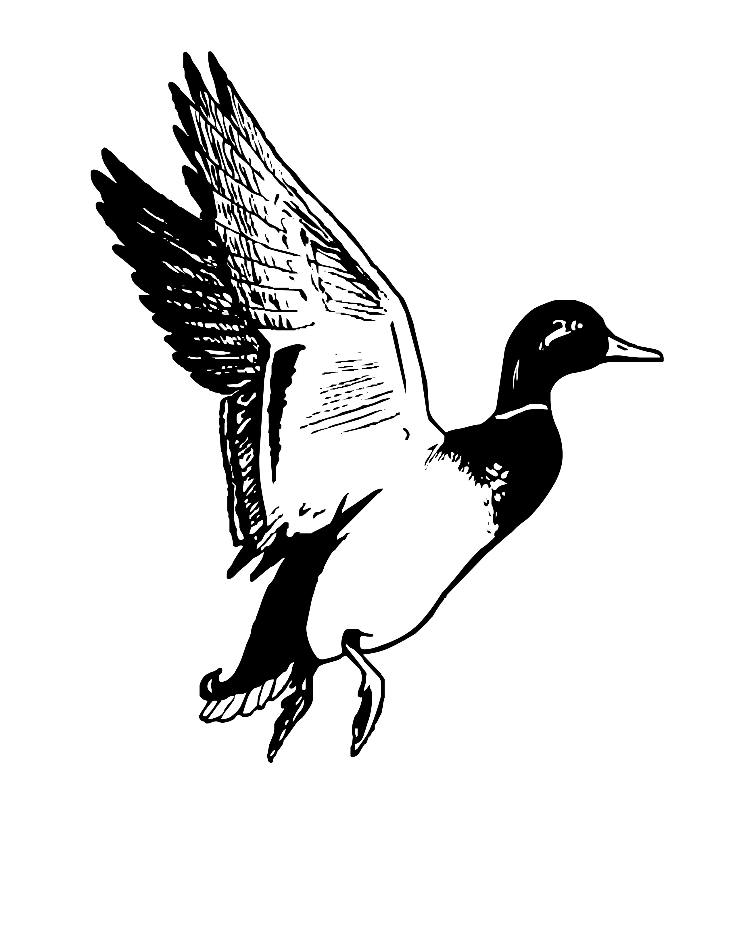 Flying Duck Clipart Black And White 