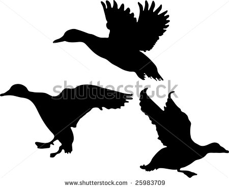 Flying Duck Silhouette 