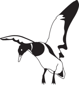 Flying duck clipart black and white 