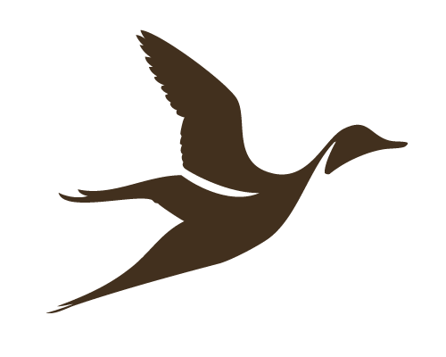 Duck For Logo Clipart 