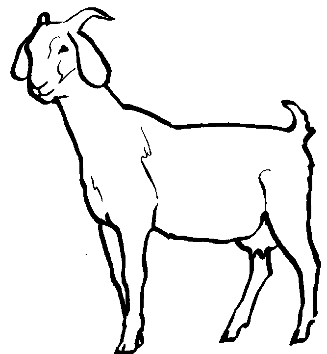 Baby goat clipart black and white 
