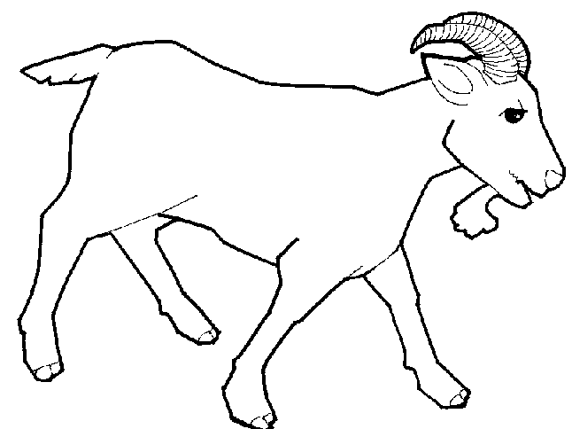 Baby goat clipart black and white 