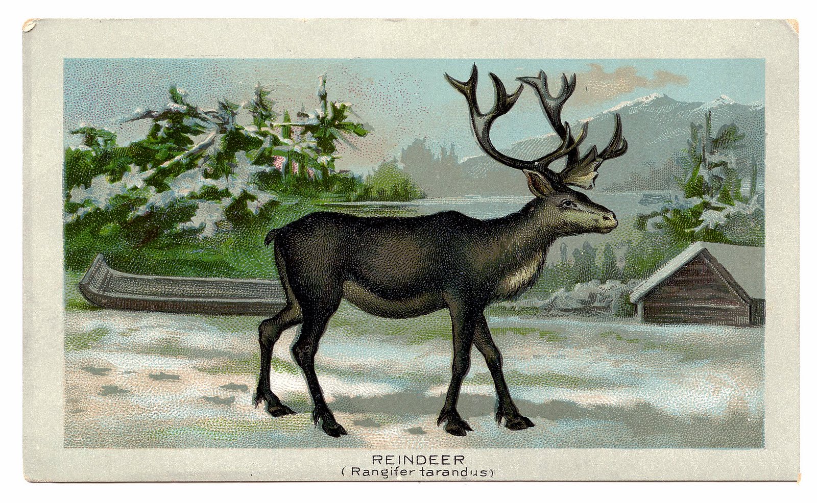 Antique Christmas Clip Art Image 