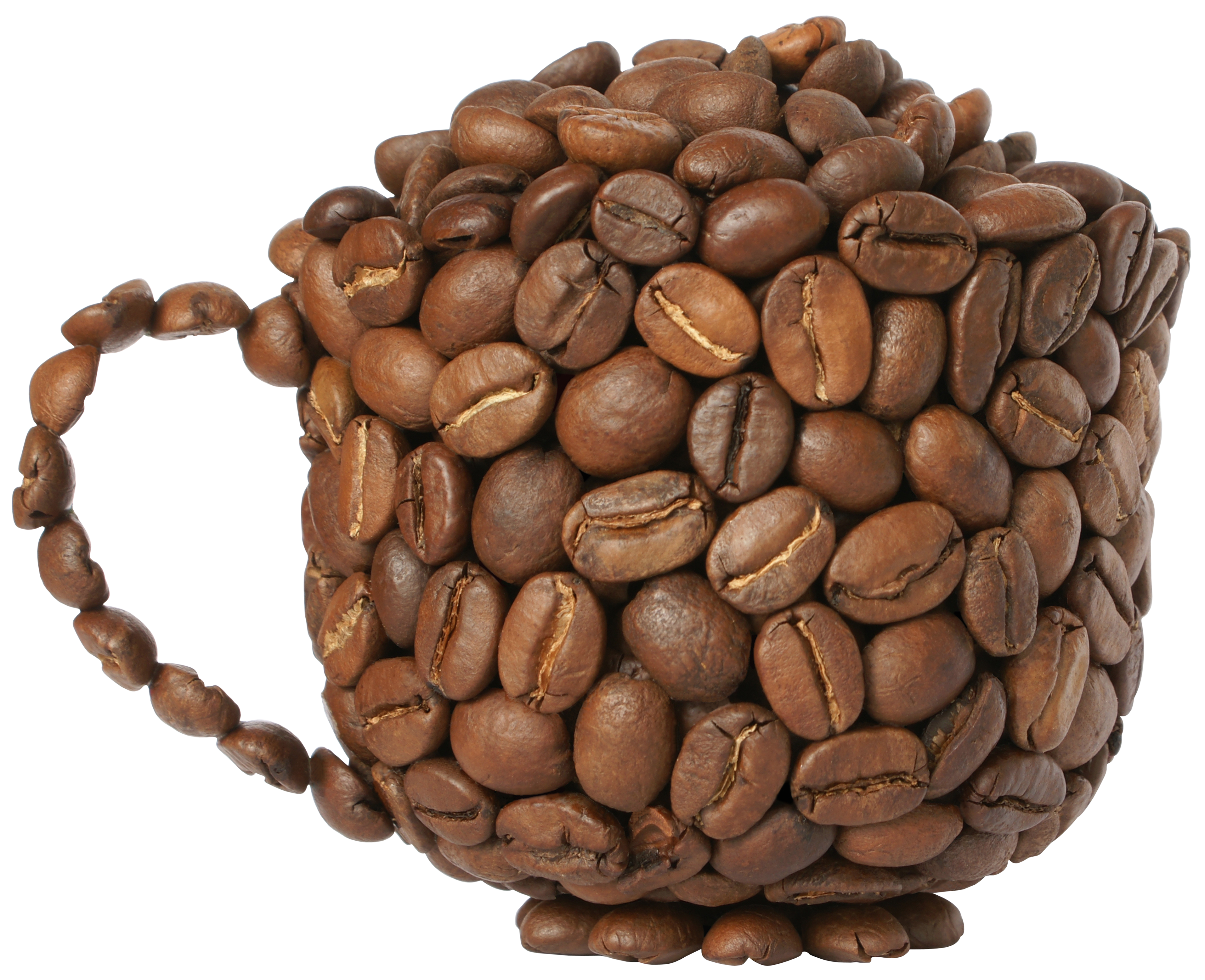 Coffee bean clipart free 