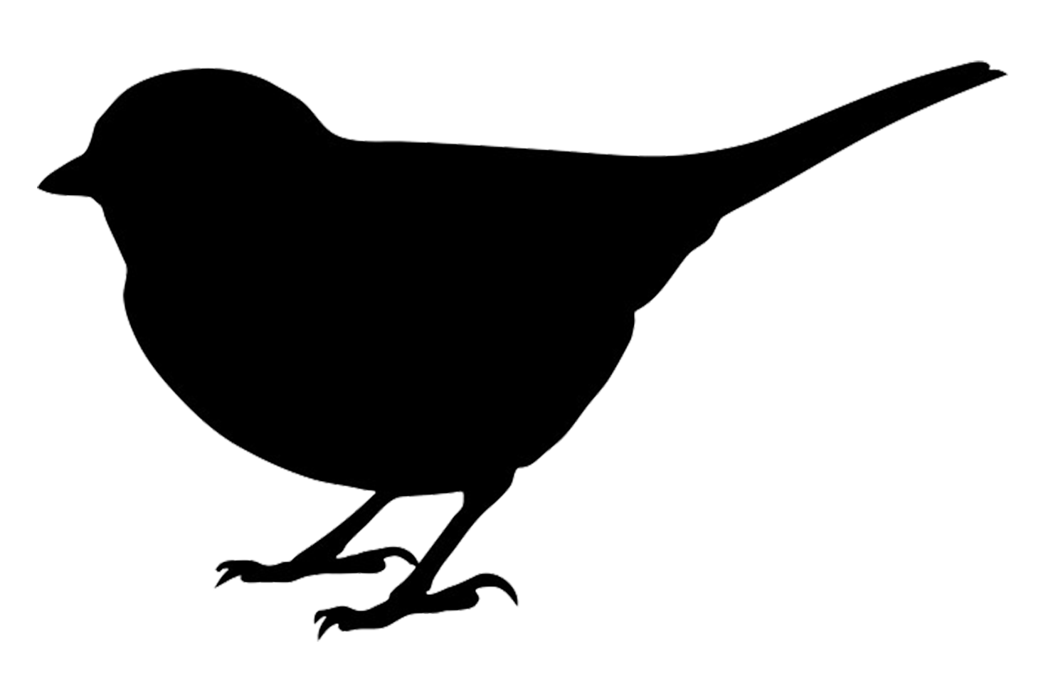 Black Picture Of A Bird Outline 