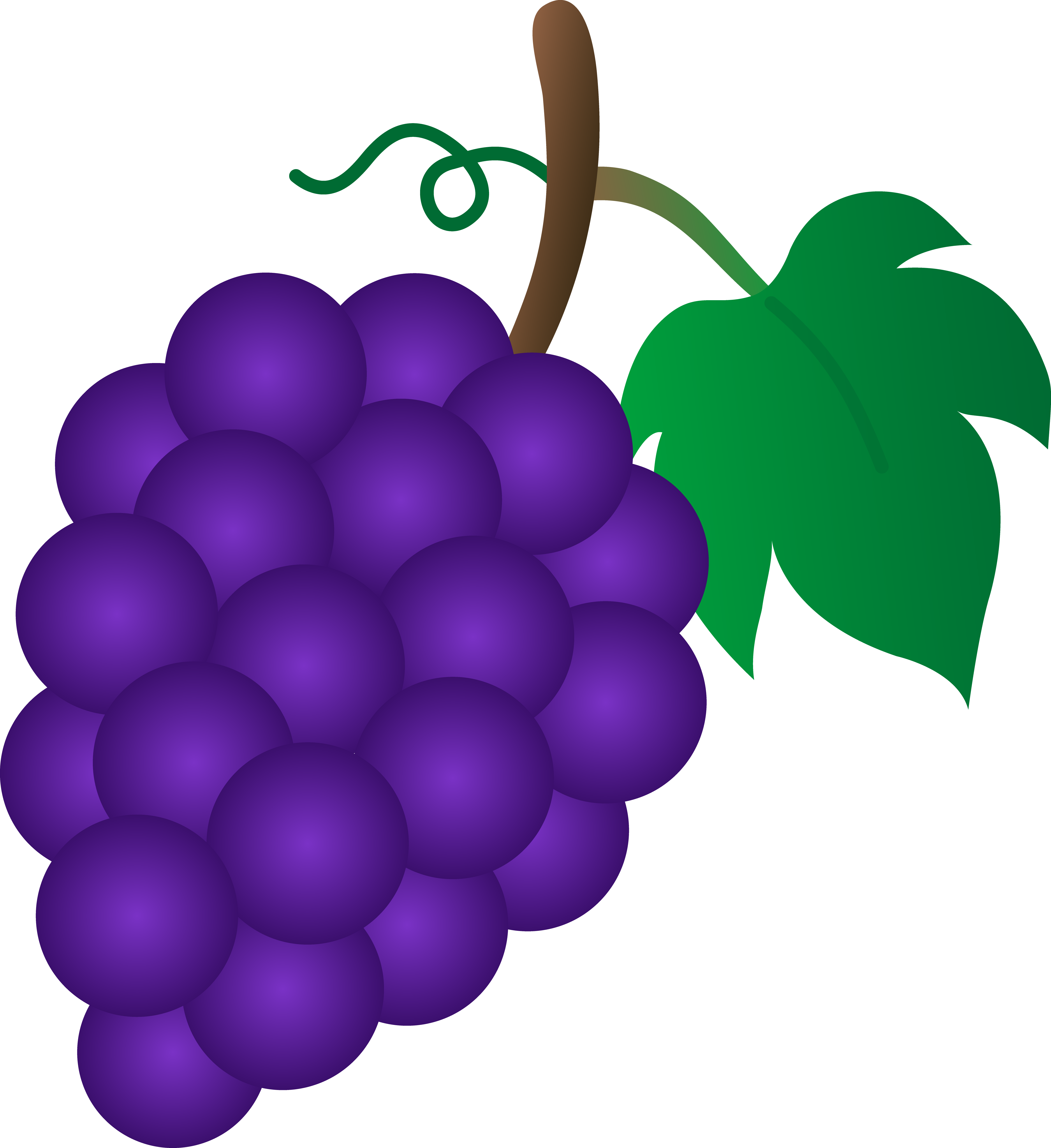 Free Cartoon Grapes Cliparts, Download Free Cartoon Grapes Cliparts png